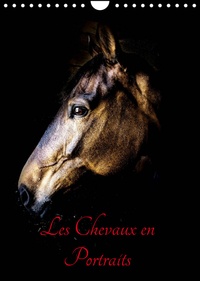 Xavier Bertrand - CALVENDO Animaux  : Chevaux en Portraits (Calendrier mural 2023 DIN A4 vertical) - Portraits de chevaux en liberté et studio (Calendrier mensuel, 14 Pages ).