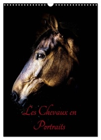 Xavier Bertrand - CALVENDO Animaux  : Chevaux en Portraits (Calendrier mural 2024 DIN A3 horizontal), CALVENDO calendrier mensuel - Portraits de chevaux en liberté et studio.