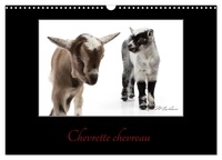 Kathy Mahevo - CALVENDO Animaux  : Chevrette chevreau (Calendrier mural 2024 DIN A3 vertical), CALVENDO calendrier mensuel - La chèvre un être intelligent et curieux..