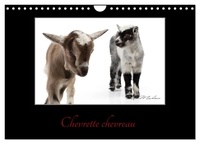 Kathy Mahevo - CALVENDO Animaux  : Chevrette chevreau (Calendrier mural 2024 DIN A4 vertical), CALVENDO calendrier mensuel - La chèvre un être intelligent et curieux..