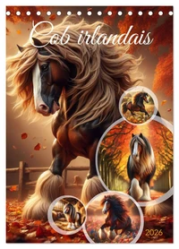 Cob irlandais (Calendrier de bureau 2026 DIN A5 horizontal), CALVENDO calendrier mensuel