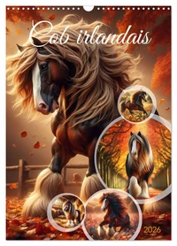 Cob irlandais (Calendrier mural 2026 DIN A3 horizontal), CALVENDO calendrier mensuel