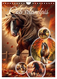 Cob irlandais (Calendrier mural 2026 DIN A4 horizontal), CALVENDO calendrier mensuel
