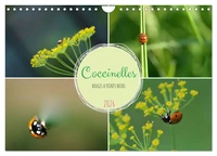 Coccinelles rouges à points noirs (Calendrier mural 2026 DIN A4 vertical), CALVENDO calendrier mensuel