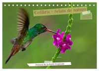 Colibris - éclats de nature (Calendrier de bureau 2027 DIN A5 vertical), CALVENDO calendrier mensuel