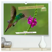 Colibris - éclats de nature (Calendrier mural 2027 DIN A2 vertical) calendrier de bureau