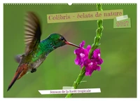 Colibris - éclats de nature (Calendrier mural 2027 DIN A2 vertical), CALVENDO calendrier mensuel