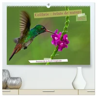 Colibris - éclats de nature (Calendrier mural haut de gamme 2027 DIN A2 vertical), CALVENDO calendrier mensuel