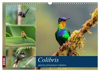 Colibris - pierres précieuses volantes (Calendrier mural 2026 DIN A3 vertical), CALVENDO calendrier mensuel