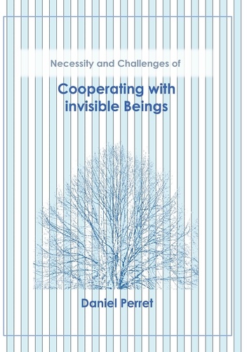 Cooperating with invisible Beings. Necessity and challenges