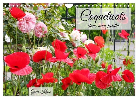 Gisela Kruse - CALVENDO Nature  : Coquelicots dans mon jardin (Calendrier mural 2024 DIN A4 vertical), CALVENDO calendrier mensuel - Partagez le plaisir des coquelicots avec la photographe.