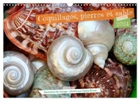 Gisela Kruse - CALVENDO Nature  : Coquillages, pierres et sable (Calendrier mural 2024 DIN A3 vertical), CALVENDO calendrier mensuel - Souvenirs maritimes qui donnent envie de la mer.