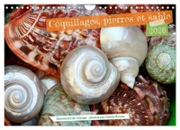 Coquillages, pierres et sable (Calendrier mural 2026 DIN A4 vertical), CALVENDO calendrier mensuel