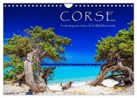 Patrick Rosyk - CALVENDO Nature  : Corse - fantastiques côtes de la Méditerranée (Calendrier mural 2024 DIN A4 vertical), CALVENDO calendrier mensuel - Eté, soleil, plage et mer.