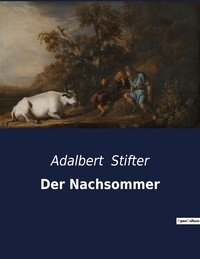 Adalbert Stifter - Der Nachsommer.