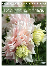 Des beaux dahlias (Calendrier de bureau 2026 DIN A5 horizontal), CALVENDO calendrier mensuel