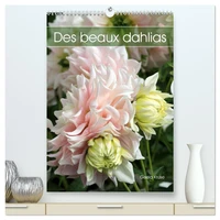 Des beaux dahlias  (Calendrier mural 2026 DIN A2 horizontal) calendrier de bureau