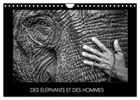 DES ÉLÉPHANTS ET DES HOMMES (Calendrier mural 2026 DIN A4 vertical), CALVENDO calendrier mensuel