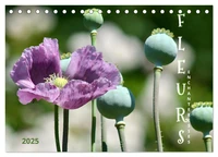 DES FLEURS ENCHANTERESSES (Calendrier de bureau 2026 DIN A5 vertical), CALVENDO calendrier mensuel