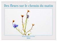 Clemens Stenner - CALVENDO Nature  : Des fleurs sur le chemin du matin (Calendrier mural 2024 DIN A3 vertical), CALVENDO calendrier mensuel - La métamorphose des fleurs, les moyens de semer.