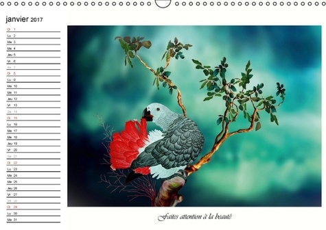 Dessins de perroquets. Perroquets, comme ils sont et comme ils pourraient être, au plumage bigarré. Calendrier mural A3 horizontal 2017
