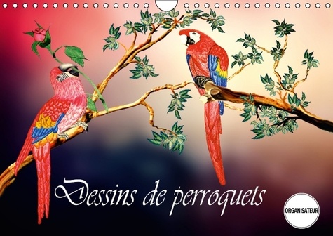 Dessins de perroquets. Perroquets, comme ils sont et comme ils pourraient être, au plumage bigarré. Calendrier mural A4 horizontal 2017