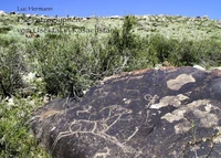 Die petroglyphen vom usektal in kasachstan