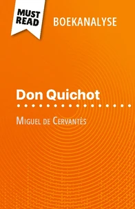 Don Quichot van Miguel de Cervantès (Boekanalyse)