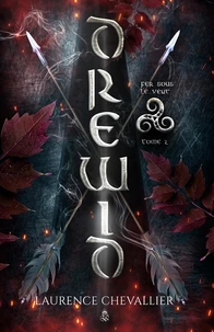 Drewid, tome 2