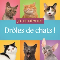 Drôles de chats !