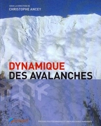 Christophe Ancey - Dynamique des avalanches.