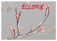 ÉCLORE (Calendrier mural 2026 DIN A3 vertical), CALVENDO calendrier mensuel