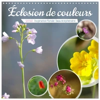 Éclosion de couleurs (Calendrier mural carré 2026 30x30 cm) Calendrier double avec une page pour vos prises de notes