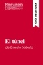  ResumenExpress - Guía de lectura  : El túnel de Ernesto Sábato (Guía de lectura) - Resumen y análisis completo.
