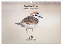 Esprit animal - Regards minimalistes (Calendrier mural 2026 DIN A3 vertical), CALVENDO calendrier mensuel
