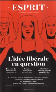 L'idée libérale en question