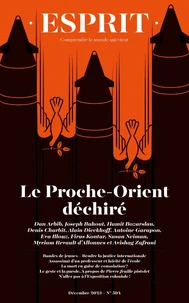 L'embrasement du Proche-Orient