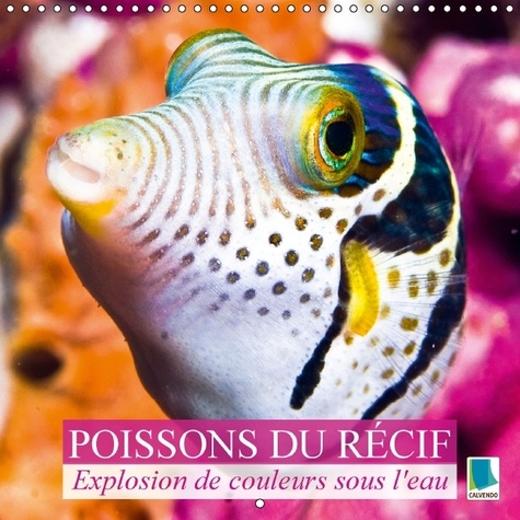 Explosion de couleurs sous la mer : poissons du récif. Poissons et coraux