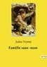 Jules Verne - Les classiques de la littérature  : Famille sans ­nom.