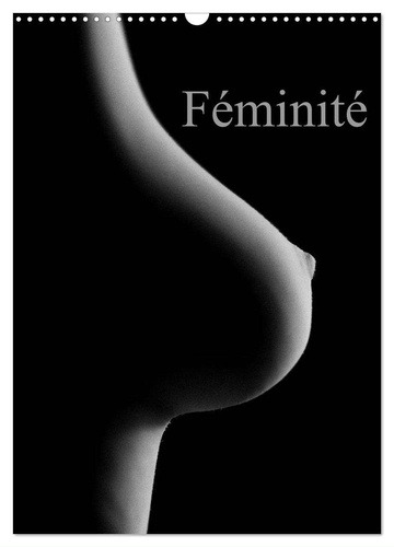Sven Rausch - CALVENDO Art  : Féminité (Calendrier mural 2024 DIN A3 horizontal), CALVENDO calendrier mensuel - Prises érotiques du corps féminin..