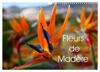 Patrick Casaert - CALVENDO Nature  : Fleurs de Madère (Calendrier mural 2024 DIN A3 vertical), CALVENDO calendrier mensuel - Une sélection de fleurs de Madère.