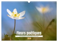 Fleurs poétiques (Calendrier mural 2026 DIN A3 vertical), CALVENDO calendrier mensuel