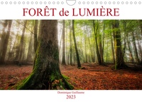 Dominique Guillaume - CALVENDO Nature  : Forêt de lumière (Calendrier mural 2023 DIN A4 horizontal) - Magie de l'ombre et de la lumière au coeur de la forêt (Calendrier mensuel, 14 Pages ).