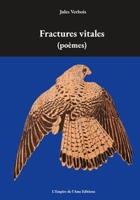 Jules Verbois - Fractures vitales.