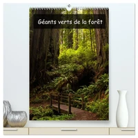 Géants verts de la forêt  (Calendrier mural 2026 DIN A2 horizontal) calendrier de bureau