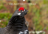 CALVENDO Animaux.pdf