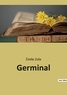 Emile Zola - Les classiques de la littérature  : Germinal.