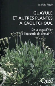 Guayule et autres plantes à caoutchouc