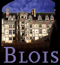 Adrien Goetz - Guide du château de Blois.