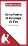 Sandrine Guihéneuf - Harry Potter et la coupe de feu de J-K Rowling - Fiche de lecture.